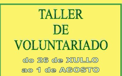 TALLER DE VOLUNTARIADO