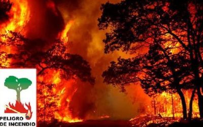 PLAN PREVENCIÓN DE INCENDIOS FORESTAIS 2019