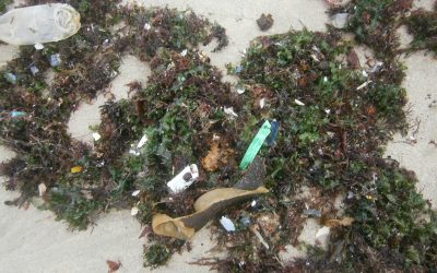 LIMPEZA DE LIXO NAS PRAIAS DE RIAZOR E ORZÁN