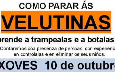 A A.VV. «Uxío Carré» de Eirís organiza un curso para combatir as velutinas