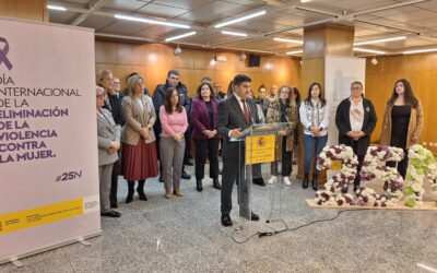 25 N – Día Internacional para la eliminación de la Violencia contra las Mujeres